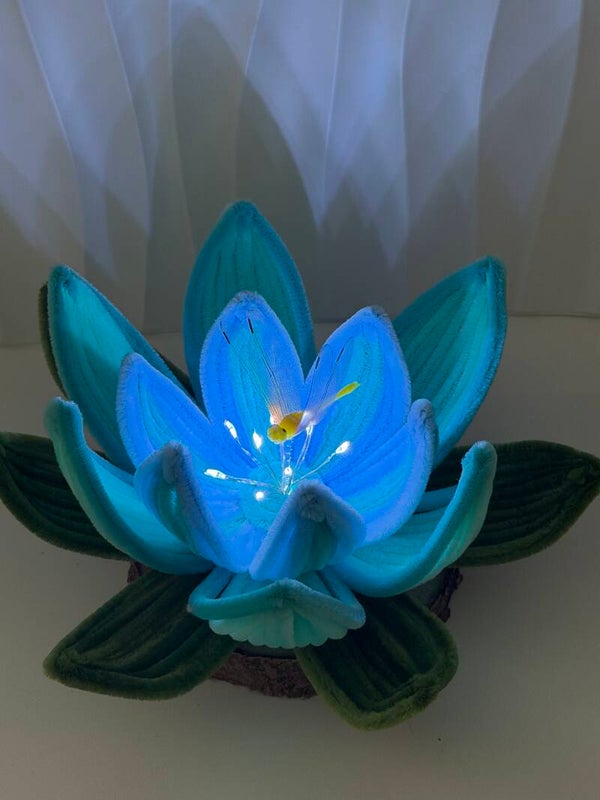 Fleurs de lotus