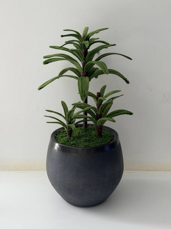 Plante verte dans pot céramique