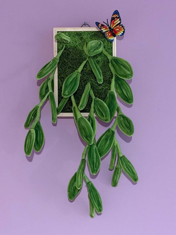 Cadre fleur verte tombante