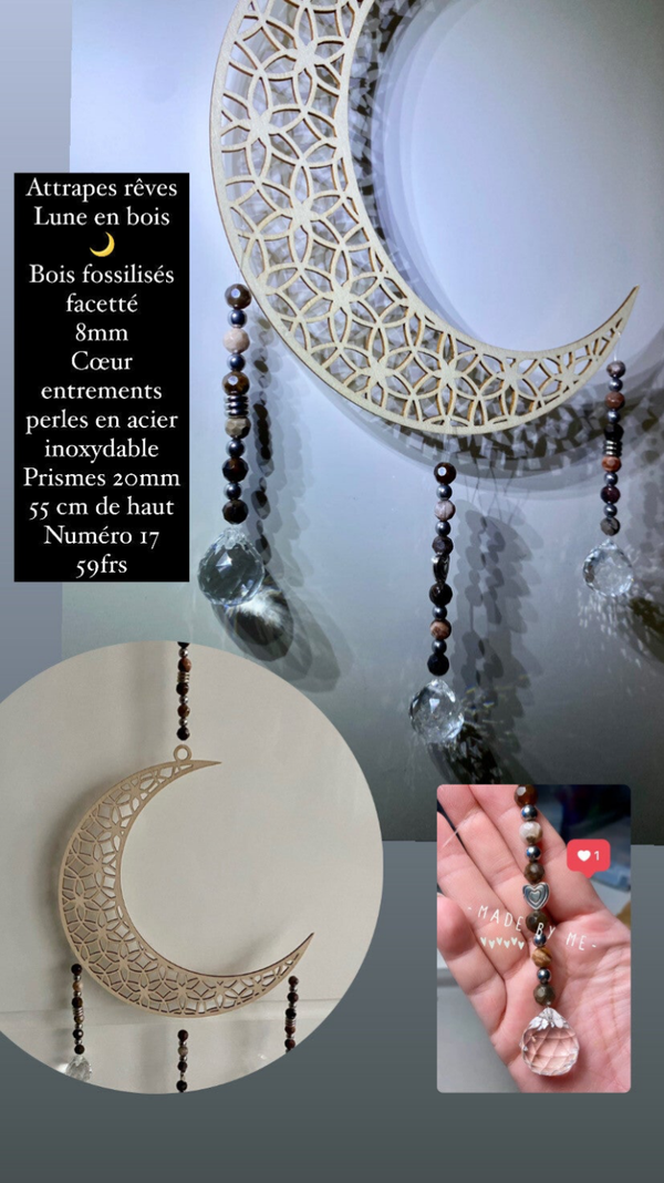 Attrape rêve/capteur de lumière fleur de vie Lune, Bois fossilisés facetté (numéro 17)