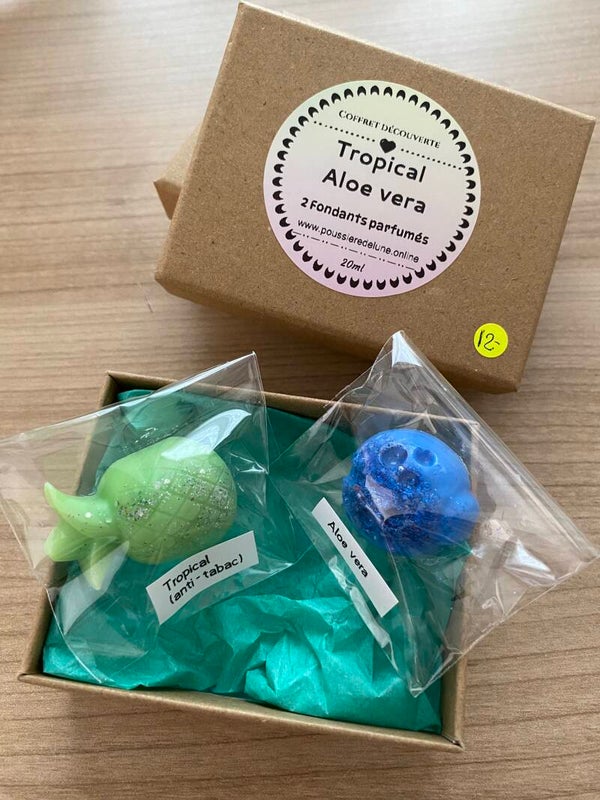Coffret découverte fondants parfumés ( senteur été aloe vera et tropical )