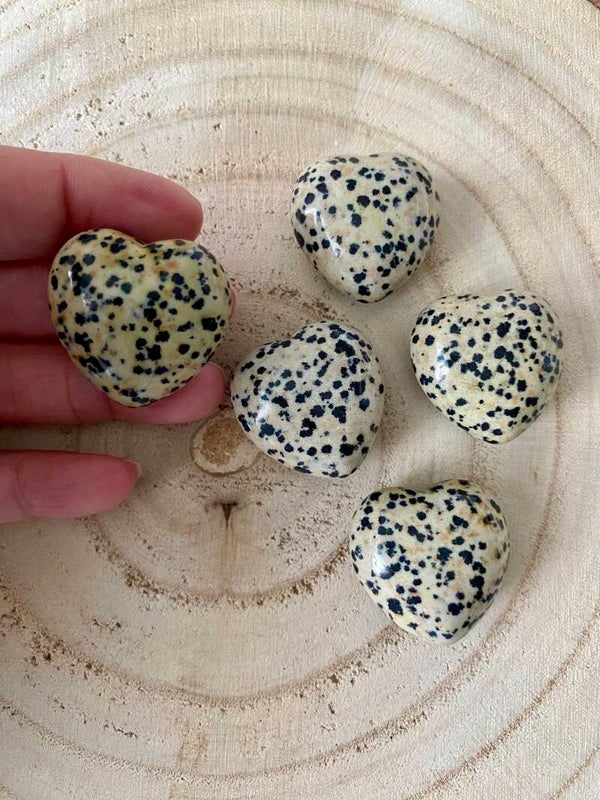 Cœur Jaspe Dalmatien