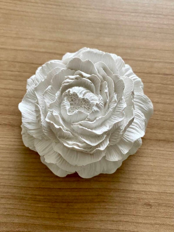Pivoine en plâtre, diverses couleur