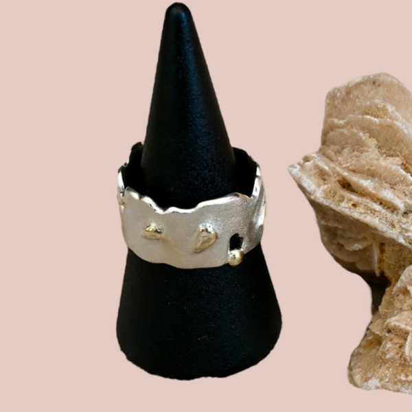 Zilveren ring gouden details