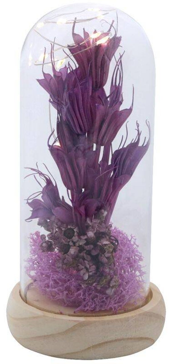Glazen Stolp met gedroogde bloemen  17 x 8 cm Paars
