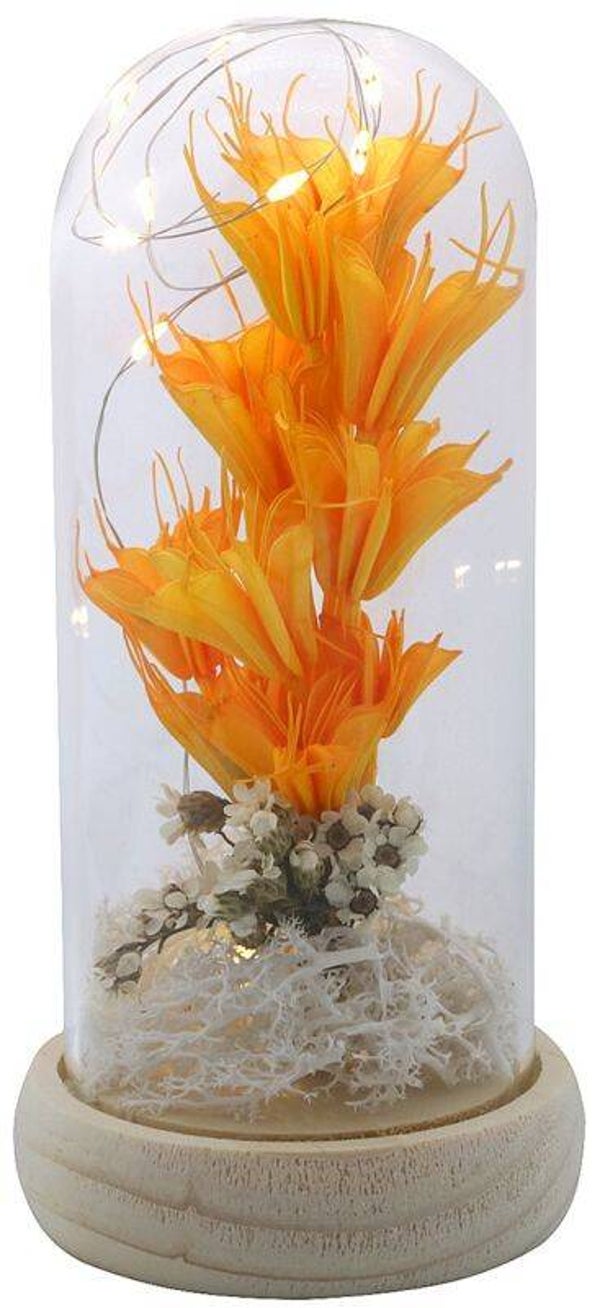 Glazen Stolp met gedroogde bloemen  17 x 8 cm Oranje