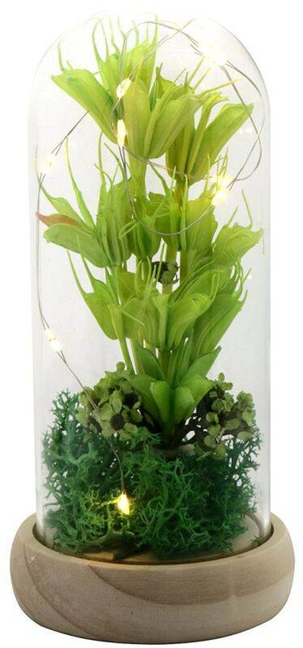 Glazen Stolp met gedroogde bloemen  17 x 8 cm Groen