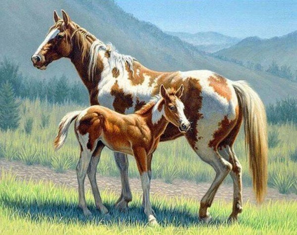 Diamond painting (ronde steentjes) Canvas 30x20 cm Paarden