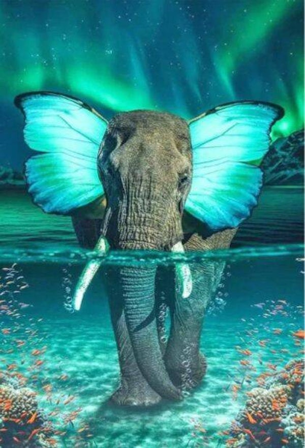 Diamond painting (ronde steentjes) Canvas 40x30 cm Olifant in water