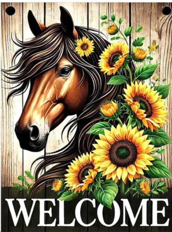 Diamond painting (ronde steentjes) Canvas 40x50 cm Paard Welcome