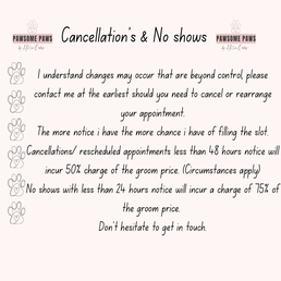 cancellation-s-no-shows-2-standard.png