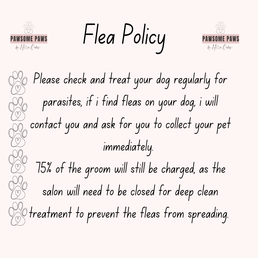 flea-policy-standard-xjms1i.png