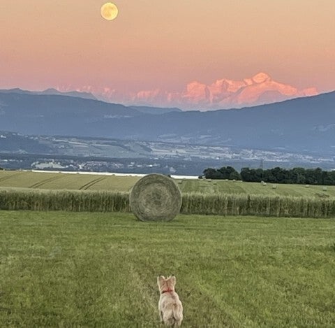 Elections Communale Chéserex - Liste 1 - Entente Communale - Vie locale