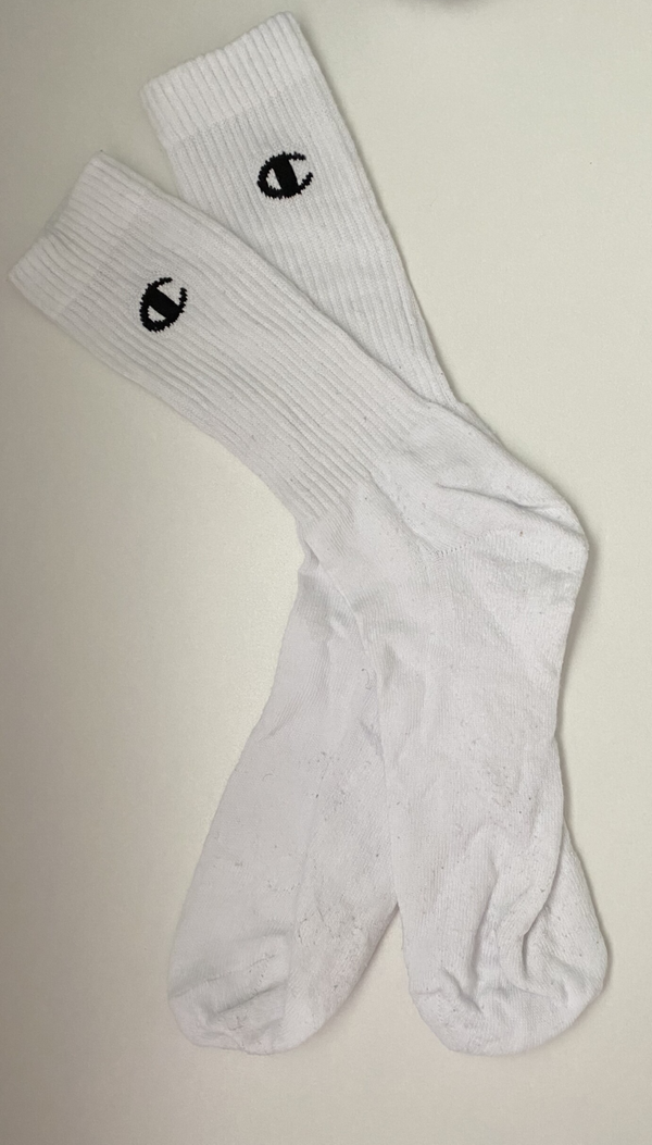 Champion Socks