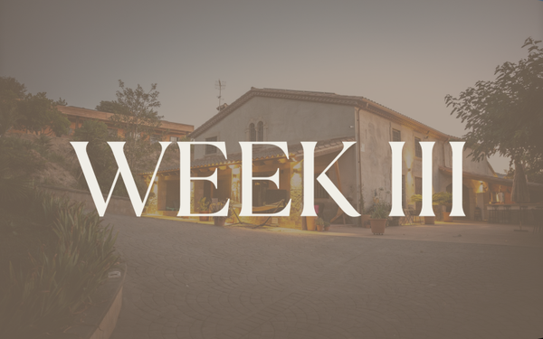 Wild Bloom Journey - Spain edition week III: 2 juni 2027 t/m 7 juni 2027