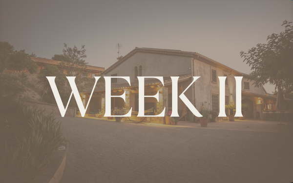 Wild Bloom Journey - Spain edition week II: 26 mei 2027 t/m 31 mei 2027