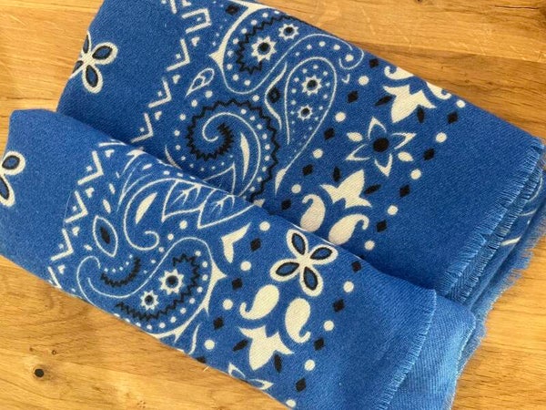 BLEU ROI