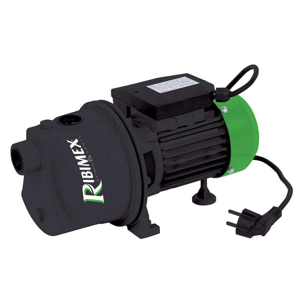 2066220 ELETTROPOMPA AUTOADESCANTE mod. 'PRJET61' - 0,80 HP RIBIMEX