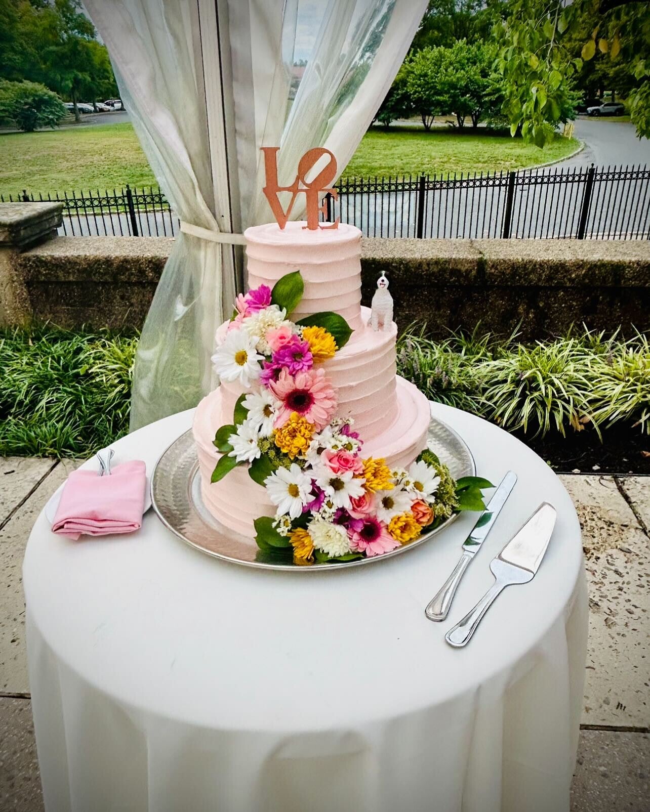 cake-standard.jpg