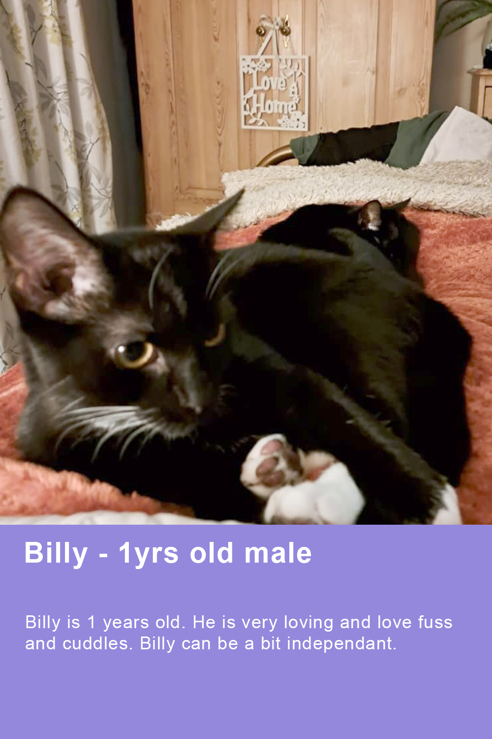 billy-02-for-site-standard.png