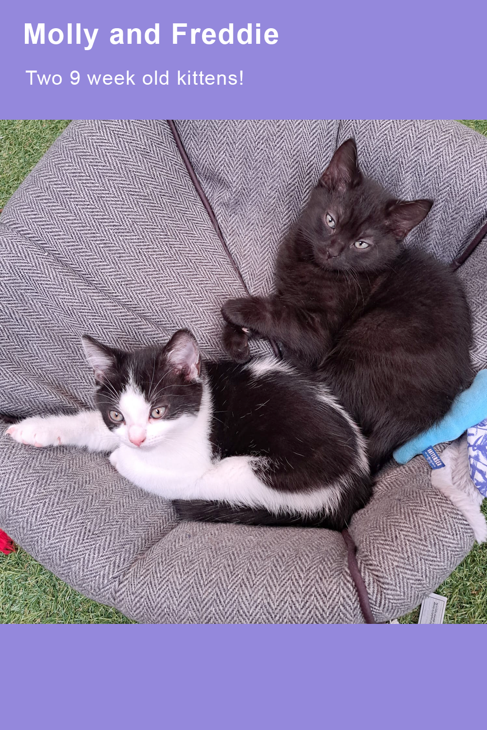 molly-and-freddie-roisin-for-site-standard.png