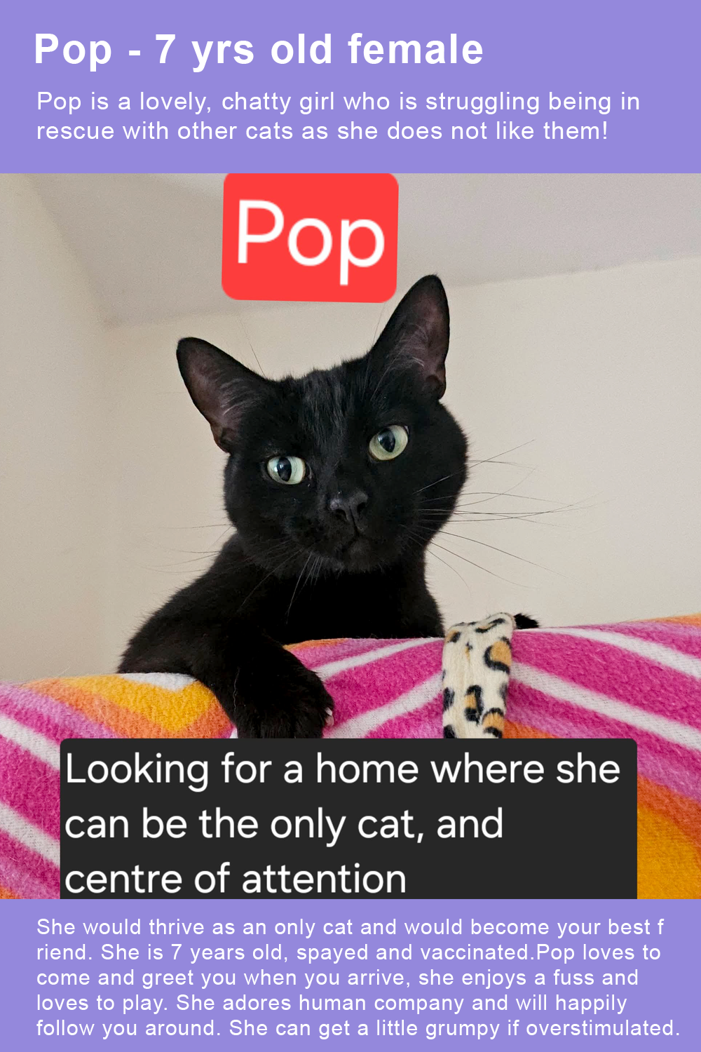 pop-02-roisin-for-site-standard.png