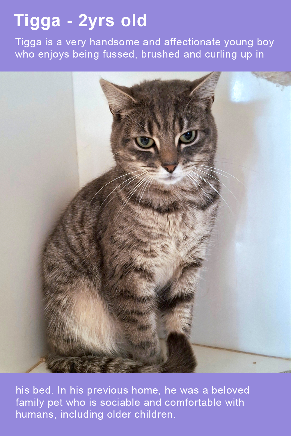 tigga-roisin-for-site-standard.png