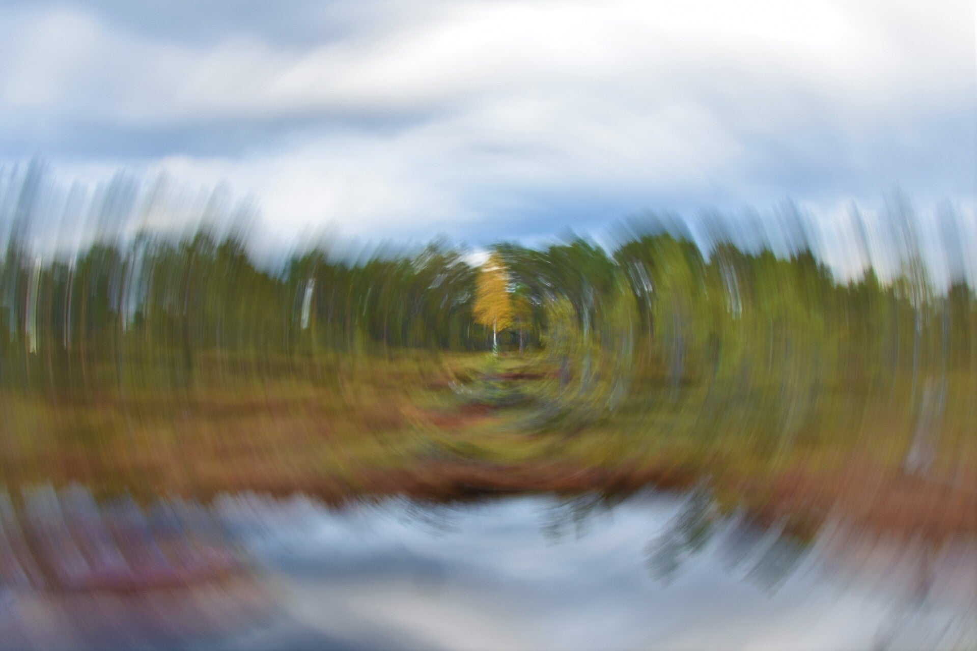 Björken abstrakt