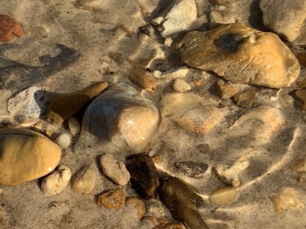 Rock Tumbling Tutorial | Earthly Tumbles