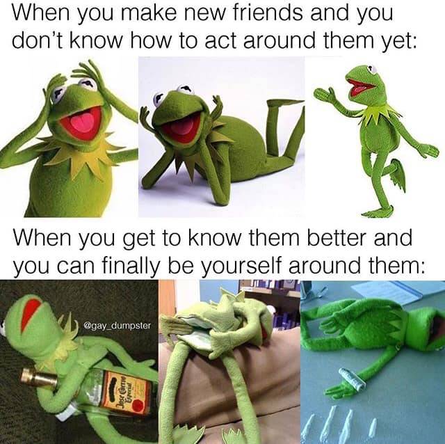Kermit First_Impression Friends