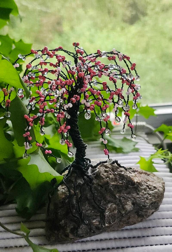 Pink and black weeping on rock