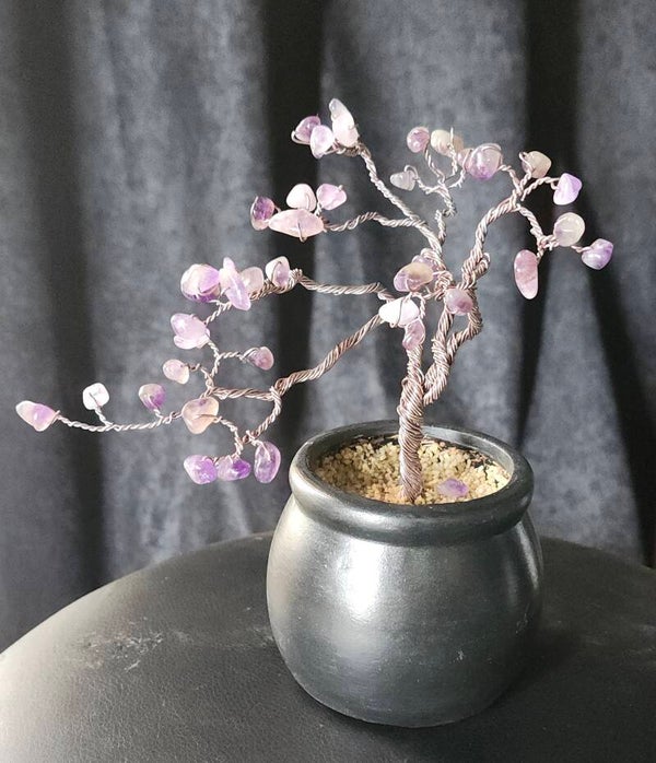 Amethyst Garden