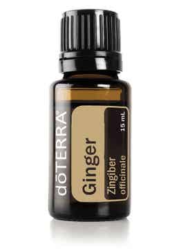 Ginger-Gember 15ml