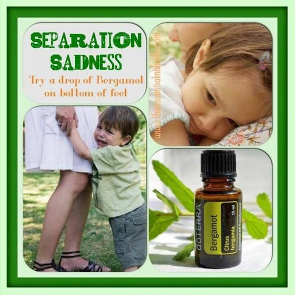 Bergamot verdunde roller 10ml