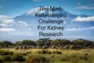 Mart's Kellymanjaro Challenge