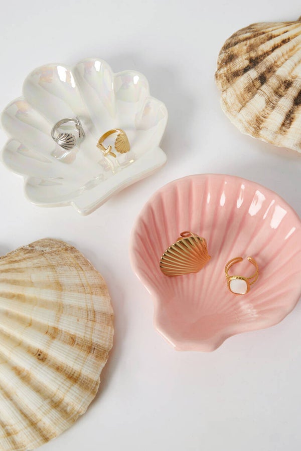 Perfect shores shell display