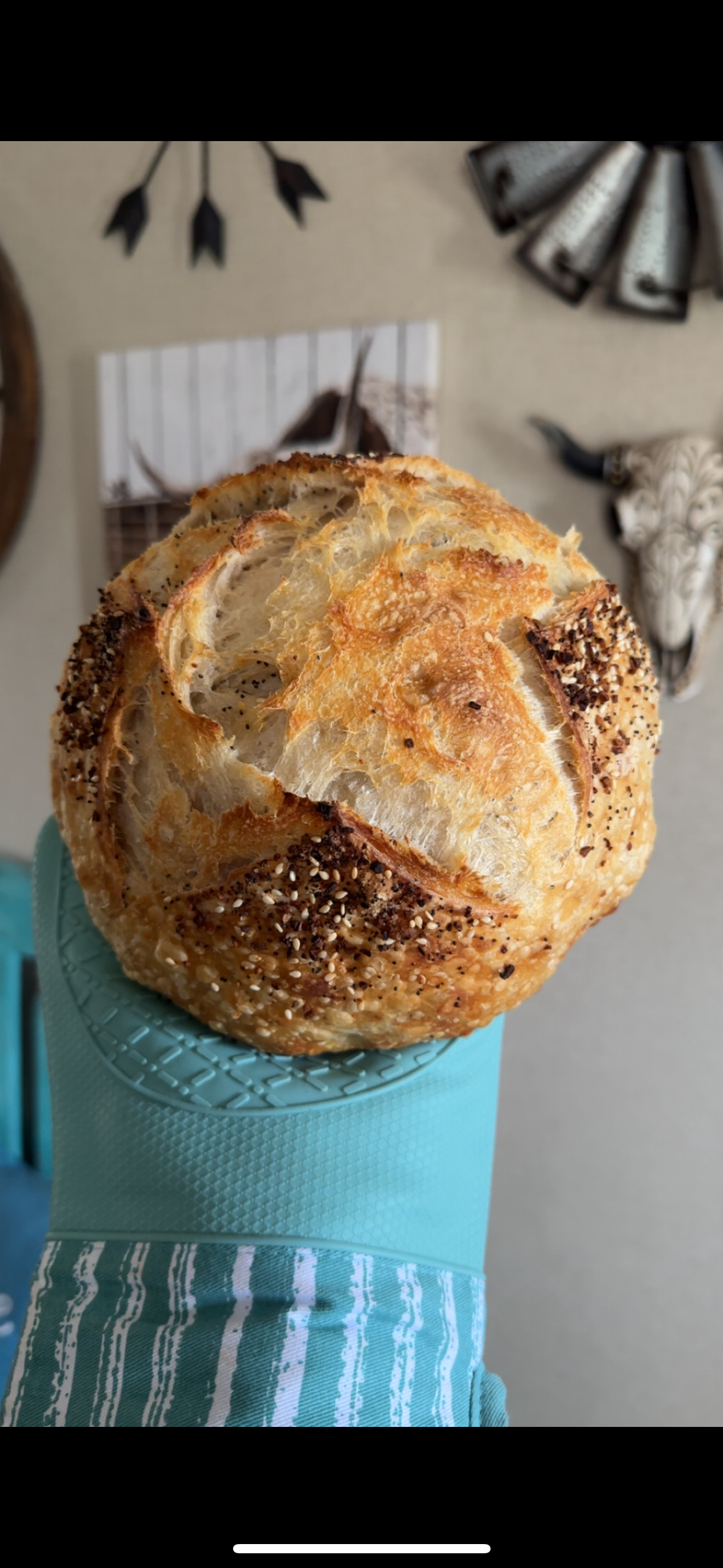 Sourdough loafs