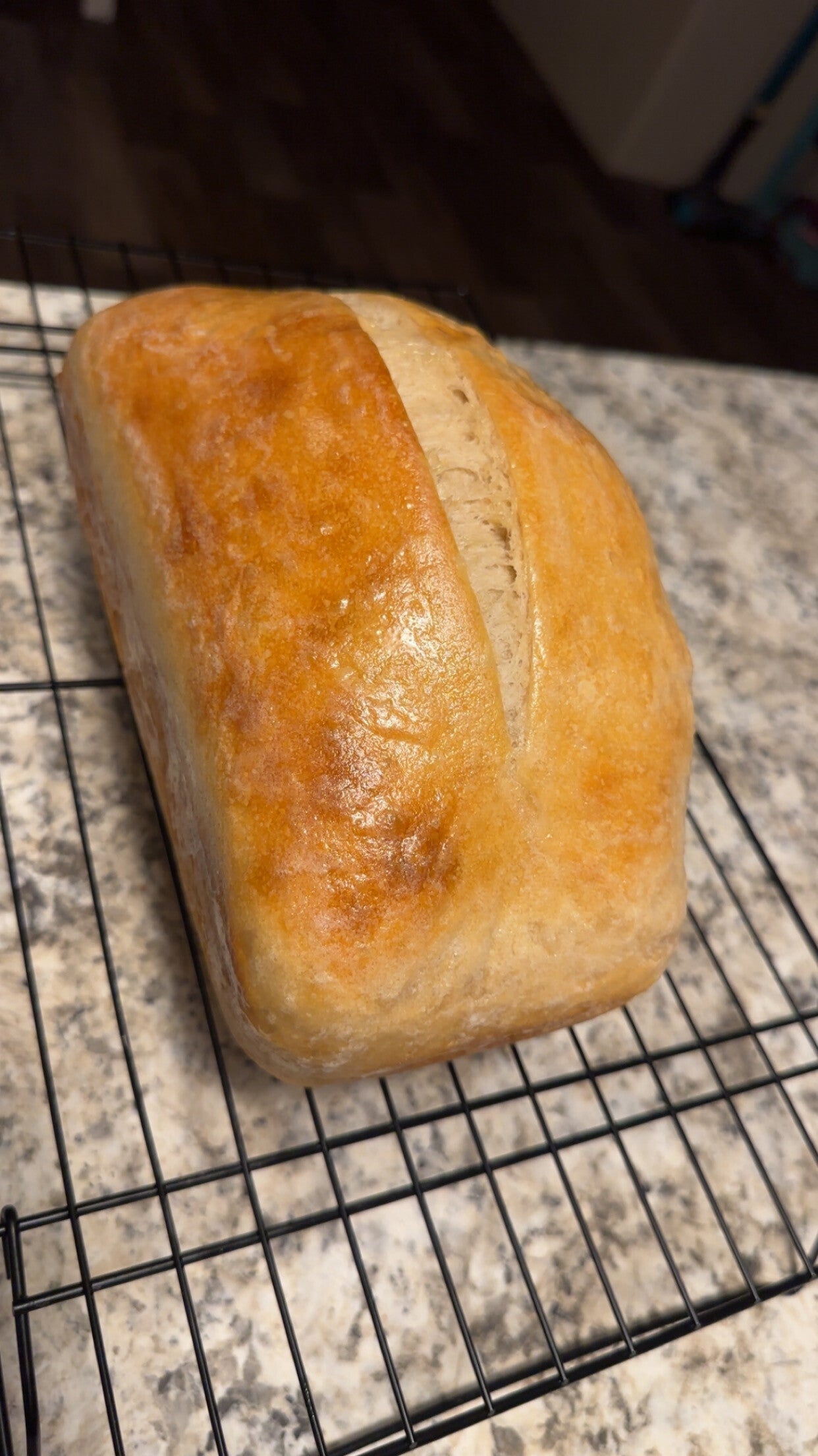 Plain Sourdough loaf