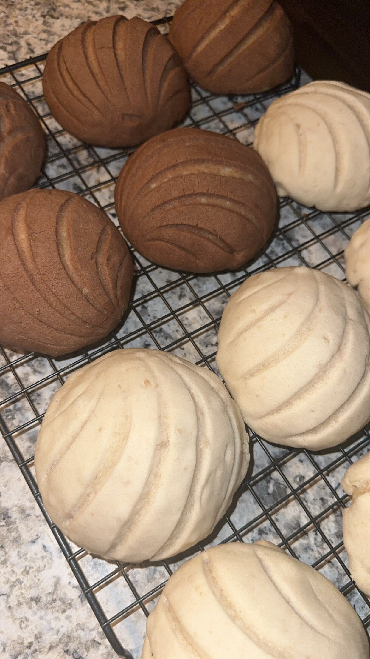 Sourdough conchas