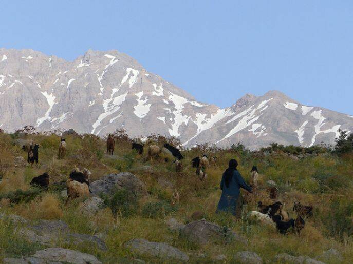 Mt. Dena, Iran