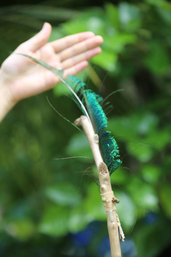 Peacock Tree Spirit – Guardian of the Jungle