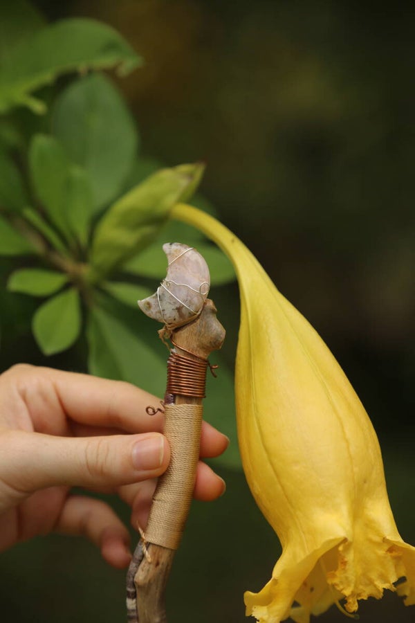 Tree Spirit – Lunar Crown