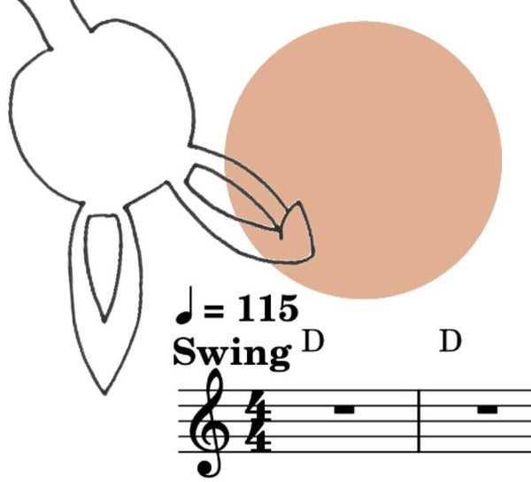 Osterhas, waseli was - Songpaket (Digitaler Download)