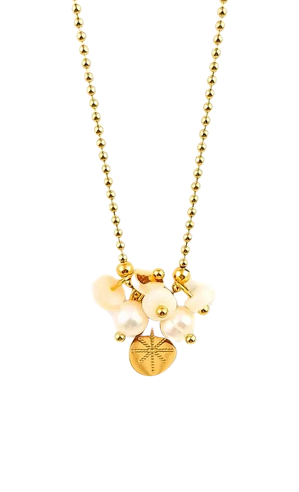Dainty Freshwater Pearls and Shells Stainless Steel Charm Necklace