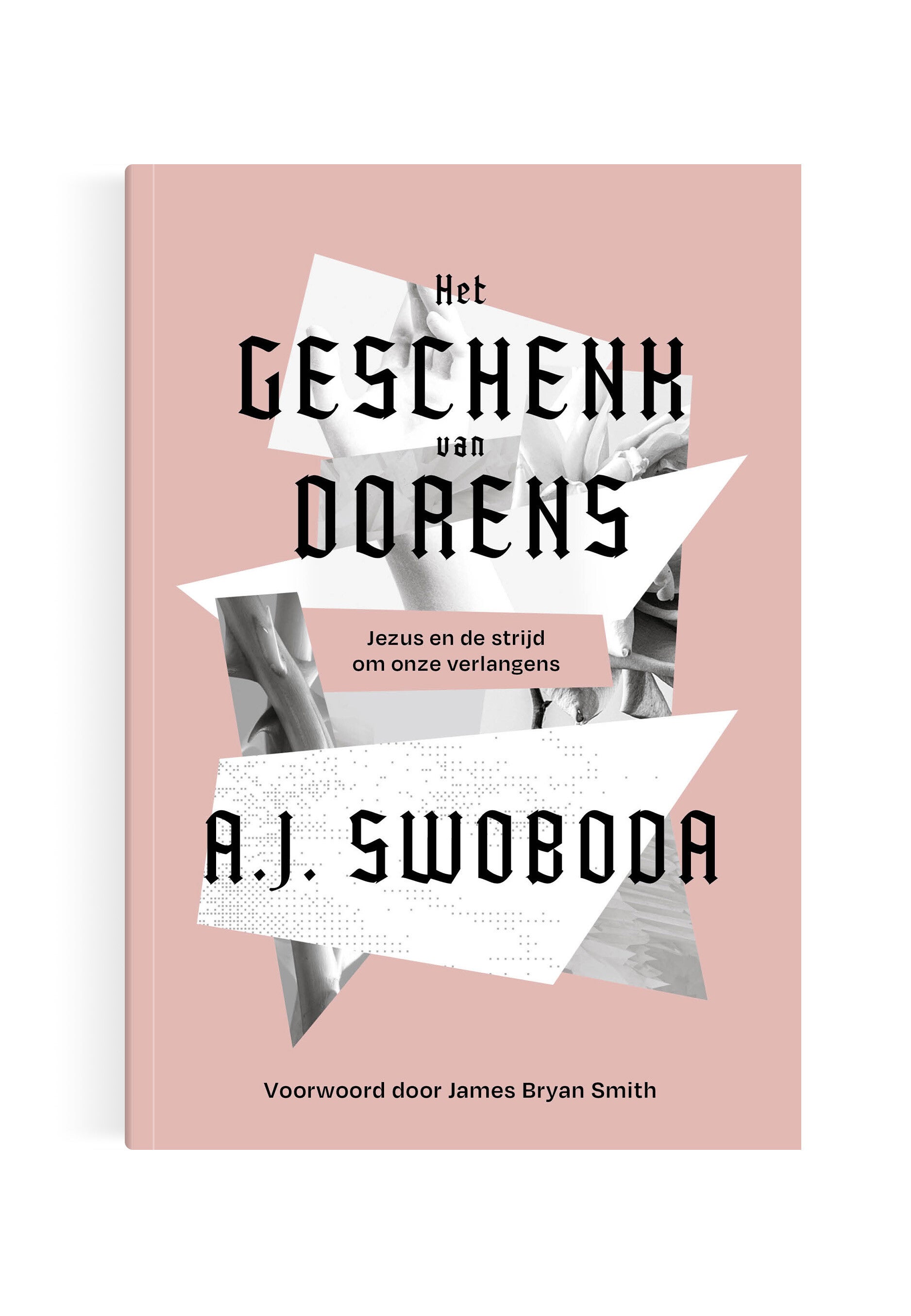 Het geschenk van dorens, A.J. Swoboda