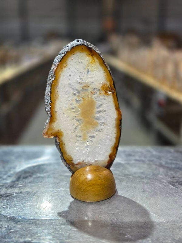 BF81 Agaatschijf in Houder