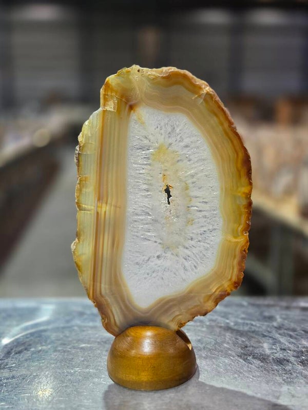 BF88 Agaatschijf in Houder