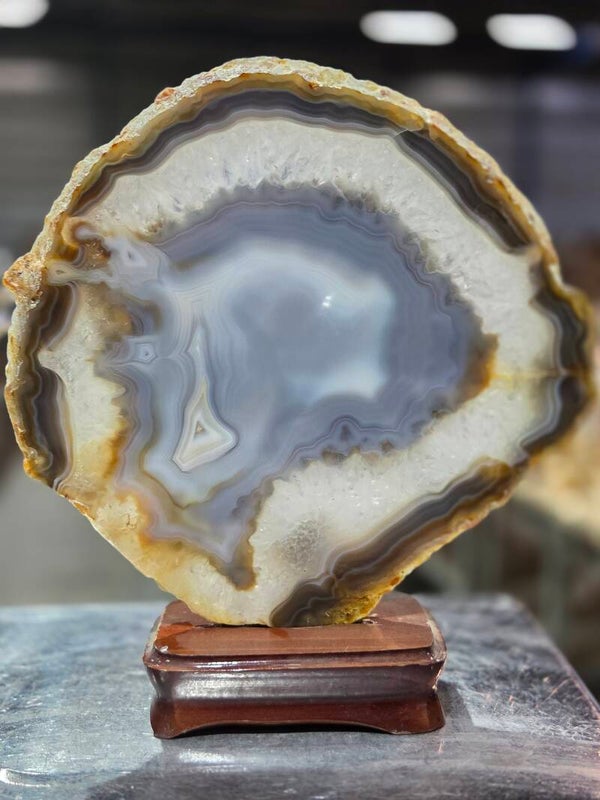 BF89 Agaatschijf in Houder