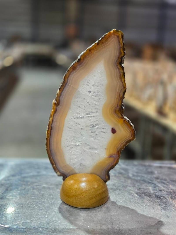 BF94 Agaatschijf in Houder