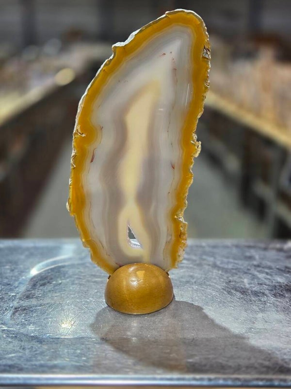 BF110 Agaatschijf in Houder